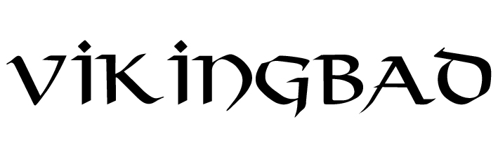 Logo - Vikingbad